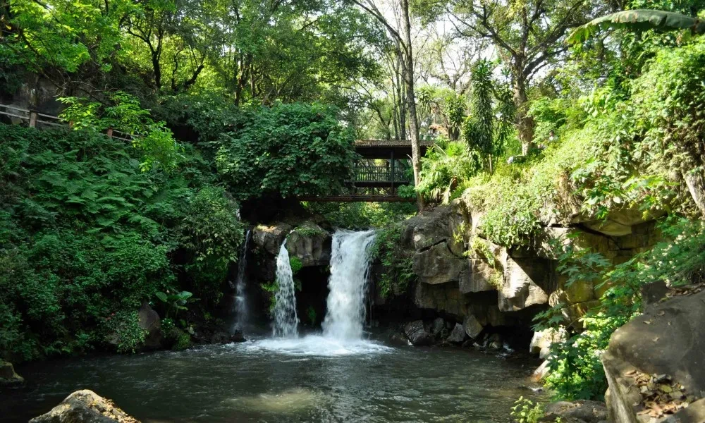 PARQUE NACIONAL BARRANCA DEL CUPATITZIO