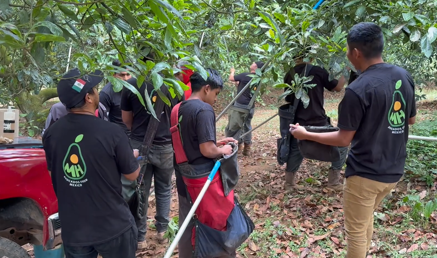 Galería